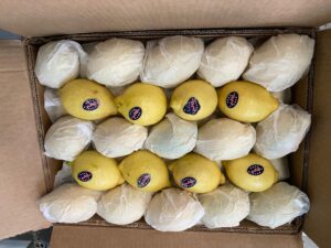 0dc28050-e730-46e7-904b-2001388847d9