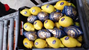 10e7a2fa-5534-4051-98b5-0e8175fa227c