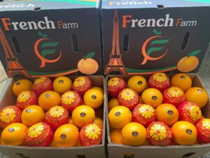 WhatsApp Image 2026-02-12 at 9.17.38 PM (2)