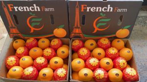 WhatsApp Image 2026-02-12 at 9.17.38 PM (5)