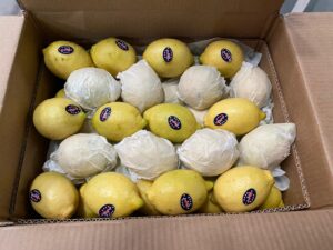 ac6ce5ce-74c9-48e9-be9c-f44bdffdc01c